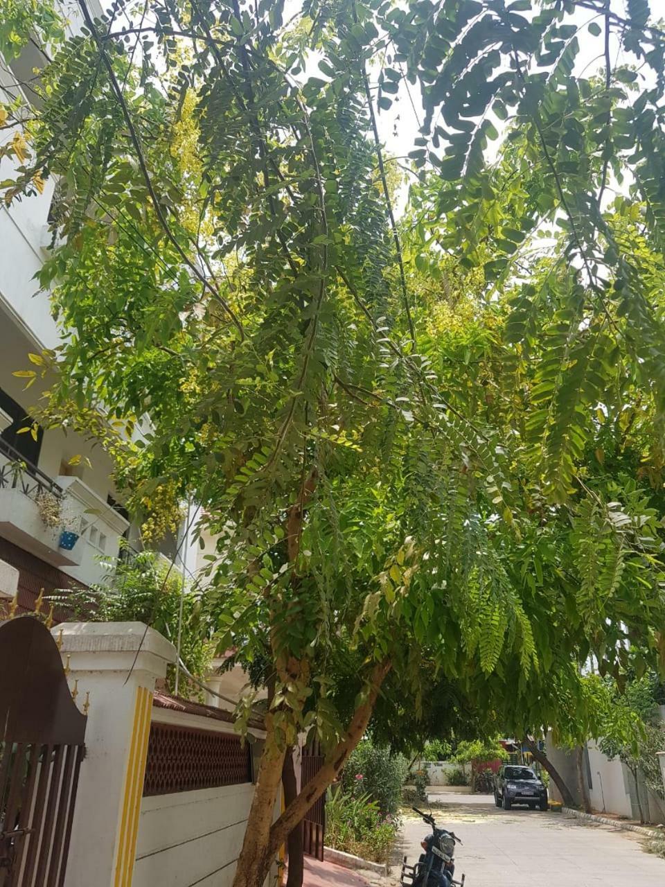 צ'נאי Royal Palace Guest House מראה חיצוני תמונה